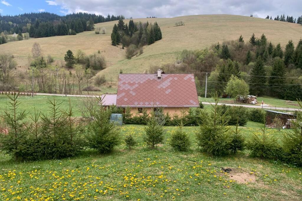 Domcek U Fera Villa Zázrivá Exteriör bild