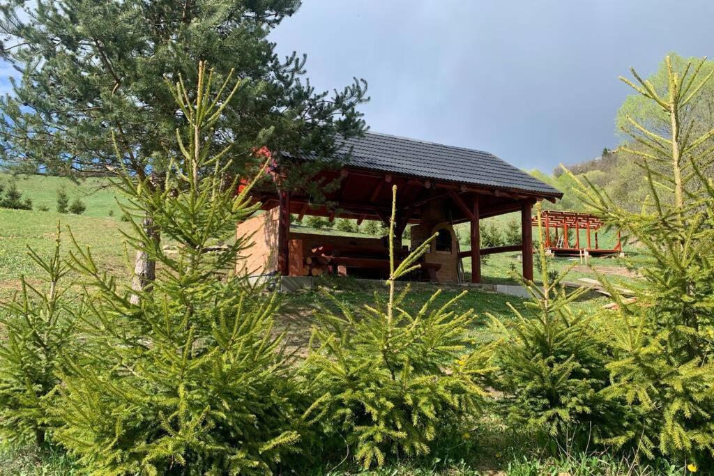 Domcek U Fera Villa Zázrivá Exteriör bild