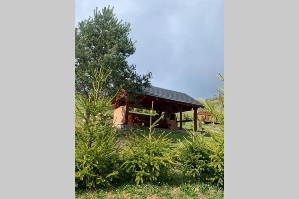 Domcek U Fera Villa Zázrivá Exteriör bild